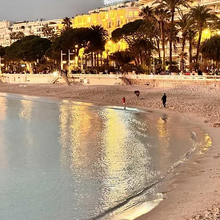 Apartment Fabulous 2br - Prime Location, Walk To Croisette & Palais - By Totolulu Yellow Corner Cannes