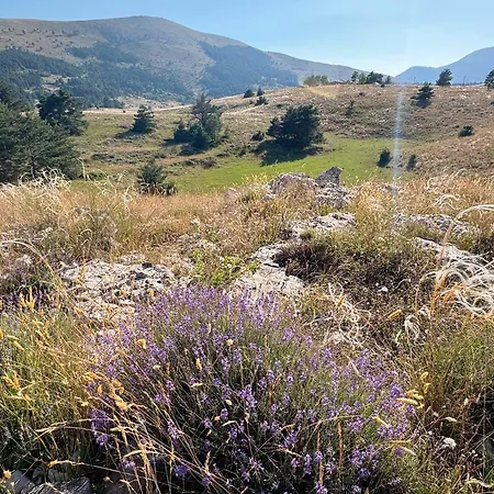 Fabulous 2br - Prime Location, Walk To Croisette & Palais - By Totolulu Yellow Corner