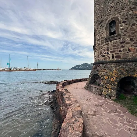 Appartement Fabulous 2br - Prime Location, Walk To Croisette & Palais - By Totolulu Yellow Corner *